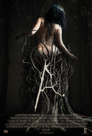 Poster 1 de Filme Ayla (2017)