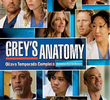 A Anatomia de Grey (8ª Temporada)