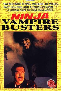 Vampire Buster - Poster / Capa / Cartaz - Oficial 3