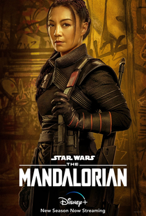 O Mandaloriano: Star Wars (2ª Temporada) - Poster / Capa / Cartaz - Oficial 11