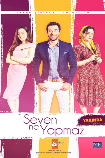 Poster de Franquia Seven Ne Yapmaz (2017)