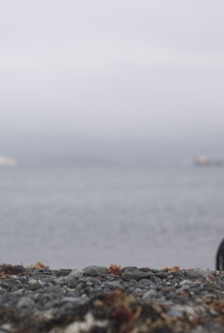 Poster 1 de Filme Sanctuary (2019)