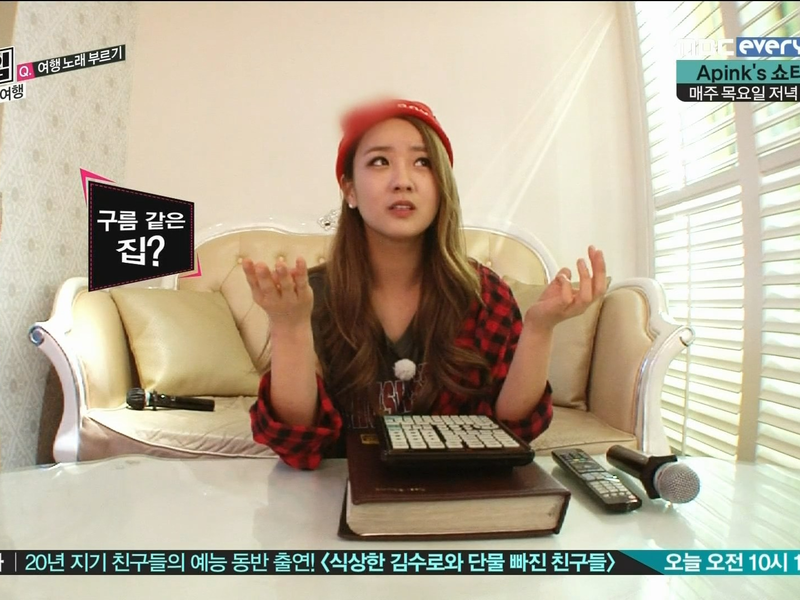 Foto 4 de A Pink Showtime