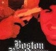 Boston Beatdown: See the World Through Our Eyes