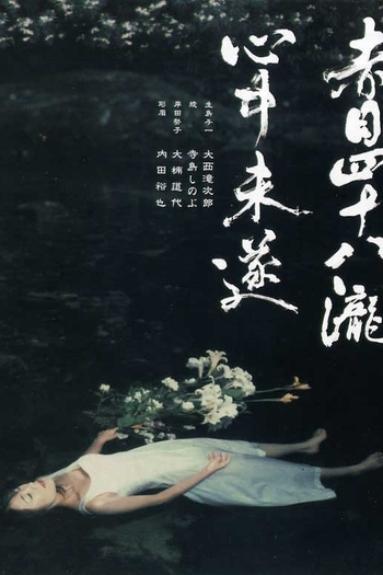 Poster de Filme Akame 48 waterfalls (2003)