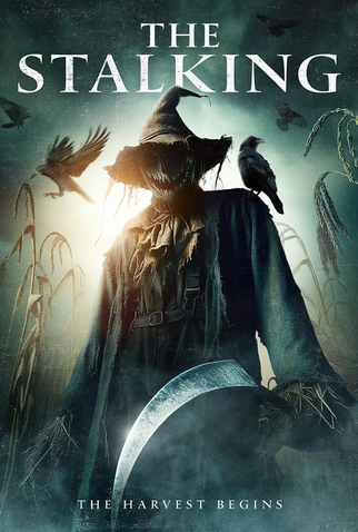 Poster 1 de Filme The Stalking (2024)