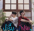 ปลื้มคนโปรด