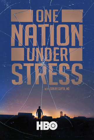 Poster 1 de Filme Uma Nação Estressada (2019)
