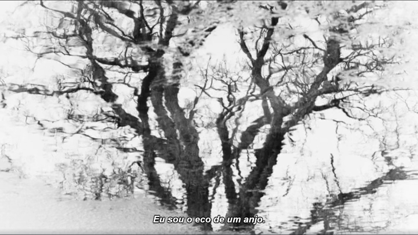 Herbert - Foto 2