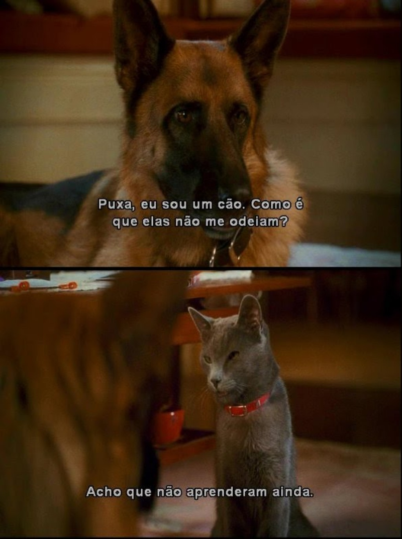 Victor Hugo Ferreira de Souza - Foto 3