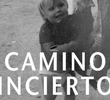 Caminho Incerto
