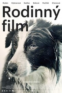 Family Film - Poster / Capa / Cartaz - Oficial 1