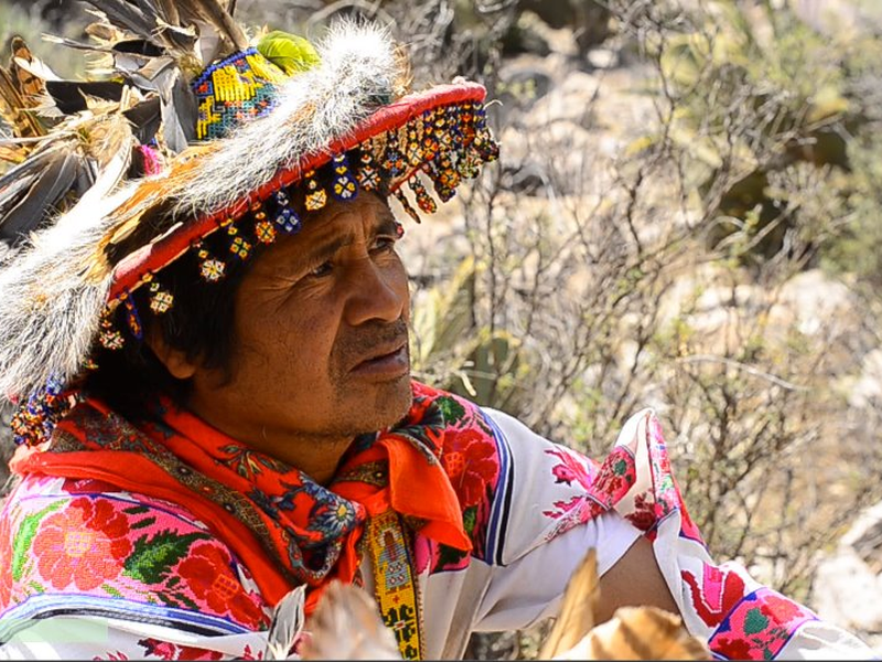Foto 3 de Huicholes