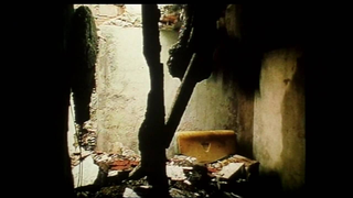 Trailer: IN VANDA'S ROOM Trailer (2000) - The Criterion Collection