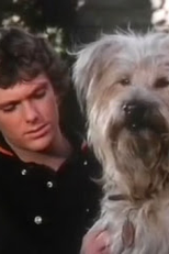 Boomer (2ª Temporada) (Here's Boomer (2nd Season))