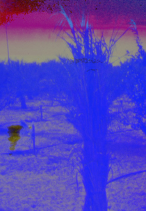 Deep Sleep (Deep Sleep)