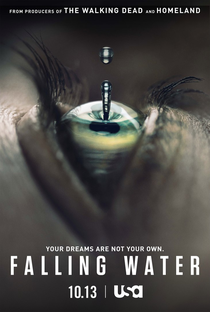 Falling Water (1ª Temporada) - Poster / Capa / Cartaz - Oficial 1
