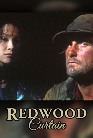 Poster 3 de Filme Um Desejo no Coração (1995)
