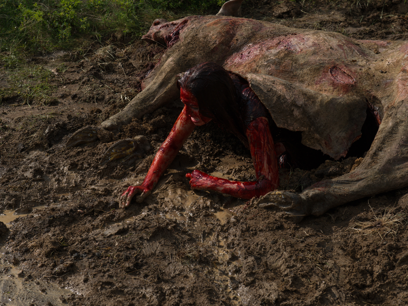 Foto 6 de Massacre no Texas