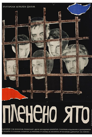 Poster 1 de Filme Captive Flock (1962)