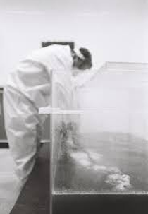 Reviving the Dead With DIY Forensics: Still life (Reviving the Dead With DIY Forensics: Still life )