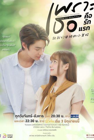 Poster 1 de Série A Love So Beautiful (2024)