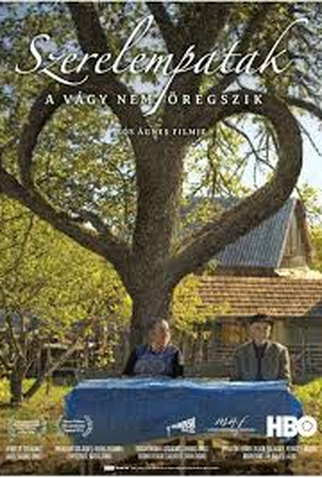 Poster 1 de Filme Torrente de Amor  (2013)