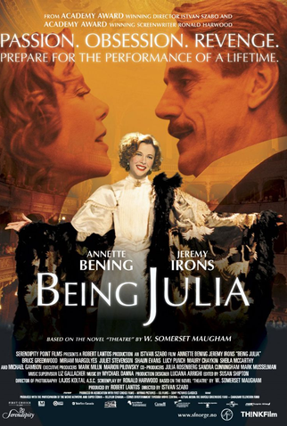 Poster 4 de Filme Adorável Júlia (2004)