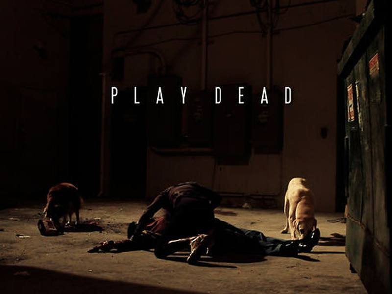 Foto 1 de Play Dead