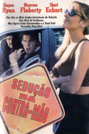  de Filme Sedução na Contra-Mão (1998)