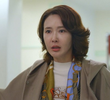 41회