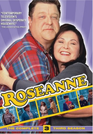 Roseanne (3ª Temporada)