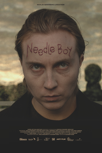 Poster de Filme Needle Boy (2016)