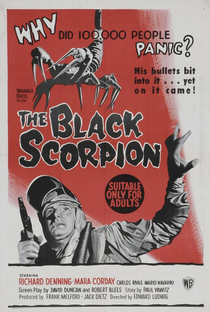 O Escorpião Negro - Poster / Capa / Cartaz - Oficial 4