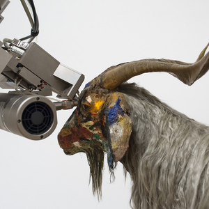 Foto de perfil de mamona