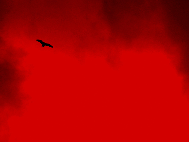 Foto 2 de A Morte Branca do Feiticeiro Negro