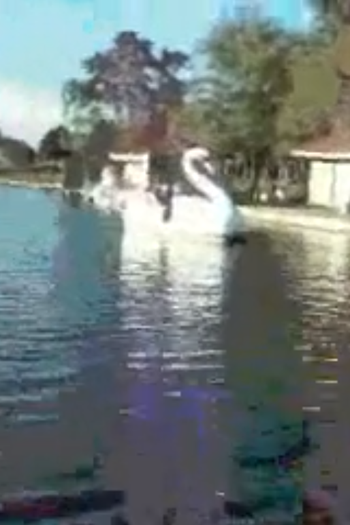 Poster de Curta Distorções da Memória (2010)