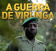 Guerra de Virunga