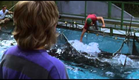Free Willy - Trailer