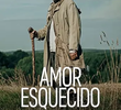 Amor Esquecido