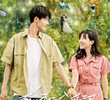 Summer in Love