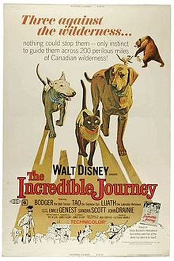  de Filme A Incrível Jornada (1963)