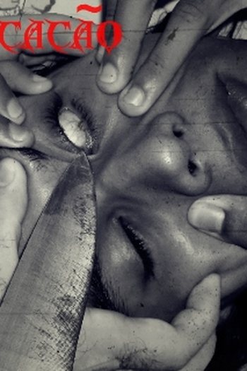 Poster de Curta Dissecação (2011)