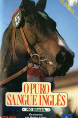 O Puro Sangue Inglês no Brasil (O Puro Sangue Inglês no Brasil)