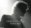 Simply Red: Perfect Love
