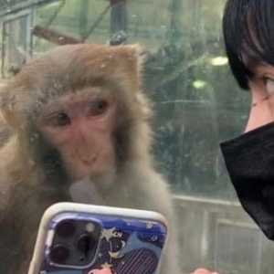 Foto de perfil de Rafael