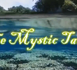 The Mystic Tails (The Mystic Tails primeira temporada ) 