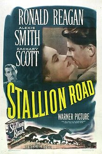 Poster de Filme Stallion Road  (1947)
