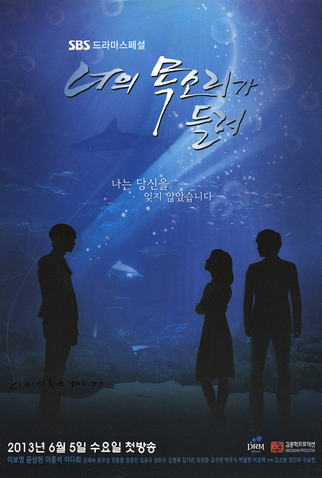 Poster 6 de Série I Hear Your Voice (2013)