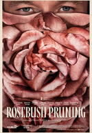 Rosebush Pruning